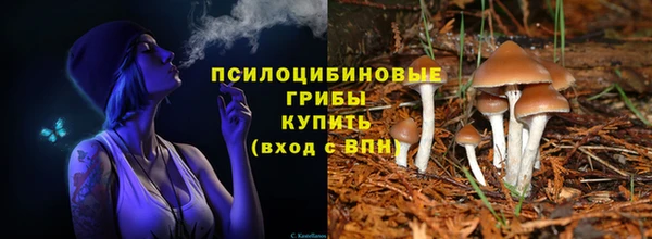 прущая мука Няндома