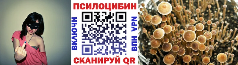 Галлюциногенные грибы MAGIC MUSHROOMS  Иннополис 